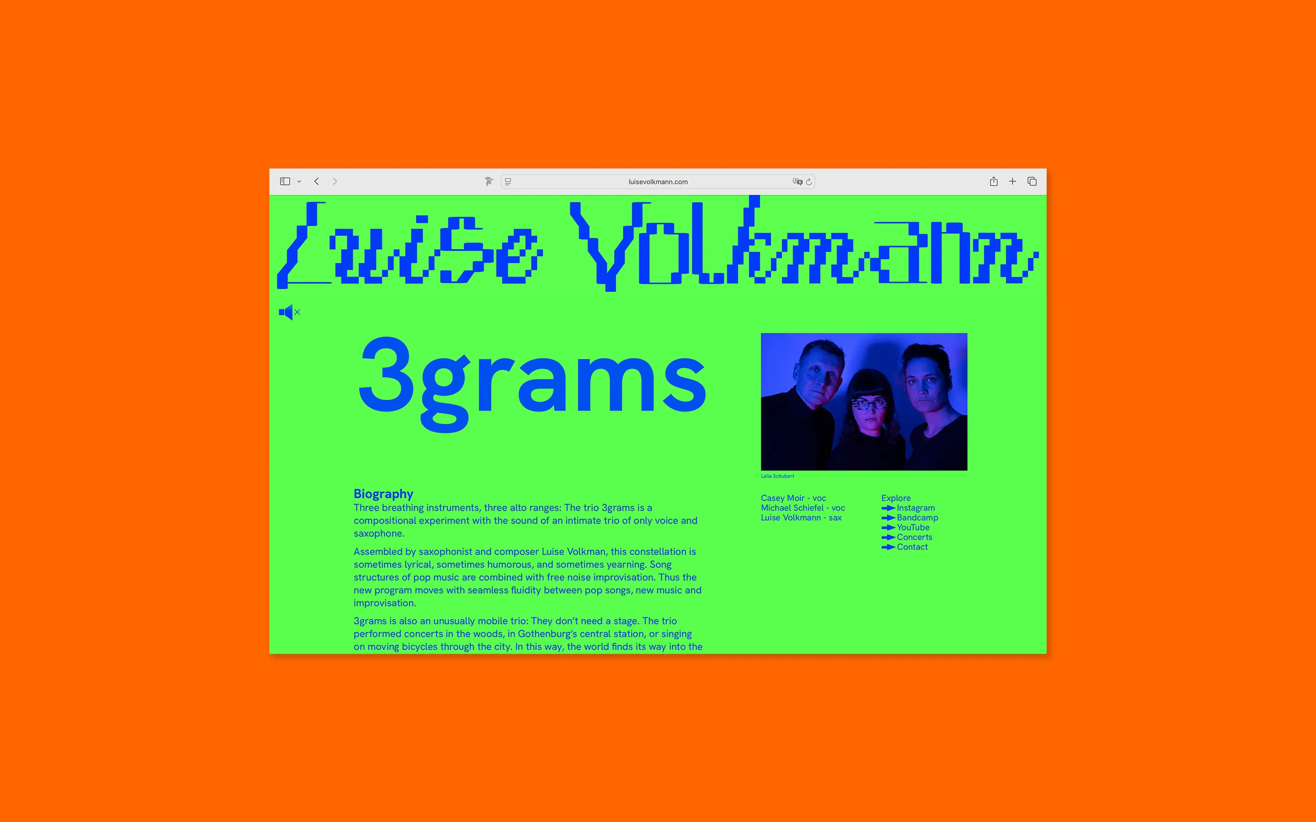 Individuelles Band Seiten Profiel